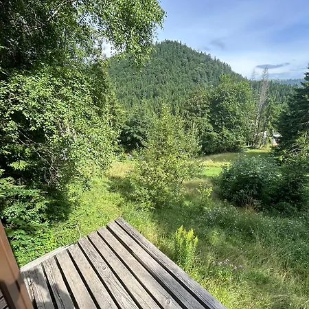Lesa Chalet Donovaly